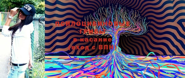 крисы Медногорск