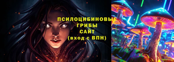 крисы Медногорск