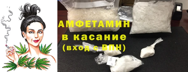 крисы Медногорск